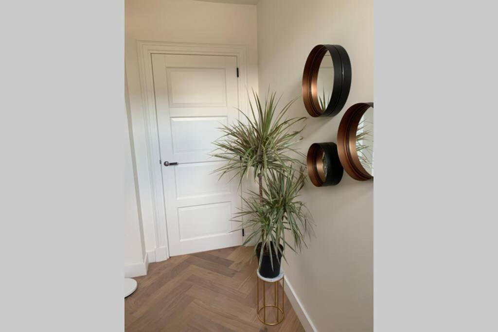 Charming Private Guesthouse Air By The Beach Zandvoort Buitenkant foto