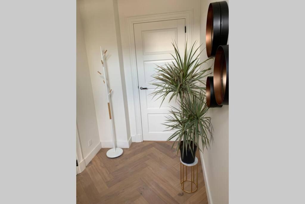 Charming Private Guesthouse Air By The Beach Zandvoort Buitenkant foto
